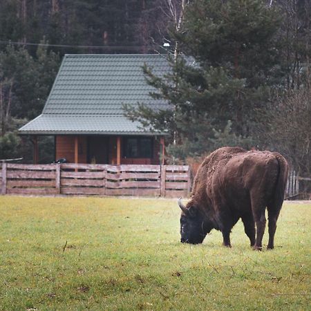 Lesna 21 Dom Polnoc Przy Zalew Siemianowka Villa Luka Dış mekan fotoğraf